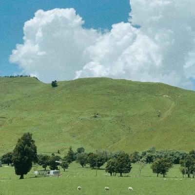 leyu·乐鱼体育下载手机版