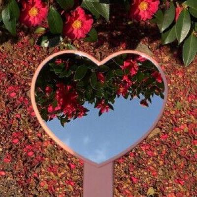 大发黄金版app下载app下载