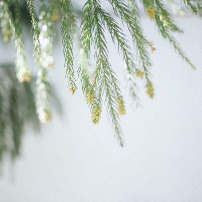 BOB博鱼·体育官网入口