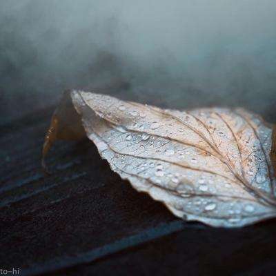 BET9官方APP下载正版