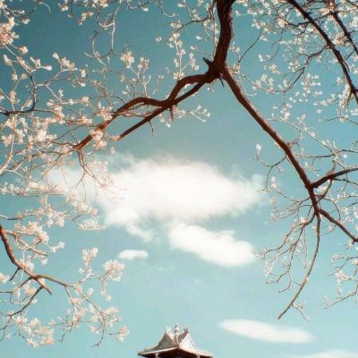 NG体育·(南宫)手机app下载