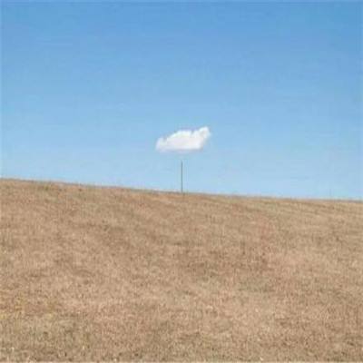 大彩澳app下载截图