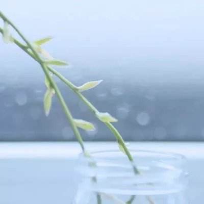 博鱼电竞下载手机版